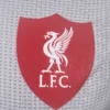 2025/26 Liverpool Away Soccer Jersey Player Version - Image 4